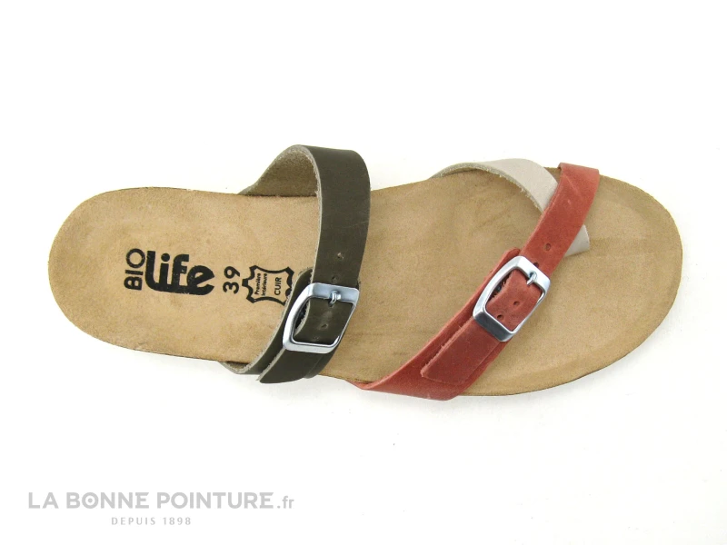 Bio Life 1934 964 Candy 05 Kaki - Rouge - Beige - Tong Femme 5 Bio Life 1934 964 Candy 05 Kaki - Rouge - Beige - Tong Femme – Image 5