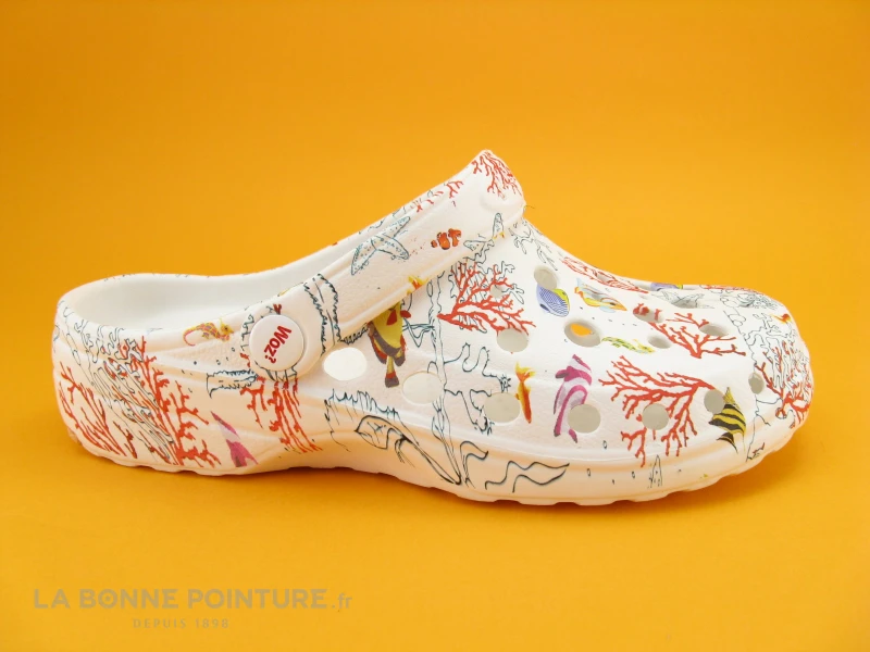 Woz Cheese Aquarium Mare 5 Woz Cheese Aquarium Mare – Image 5