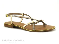 Tropeziennes MONACO Or Serpent - Plagette Tong 11 Tropeziennes MONACO Or Serpent - Plagette Tong -Optimal Chaussures Magasin cd24607c73b9e66c561f35ea11d5d5ef img 1071.jpg 147940