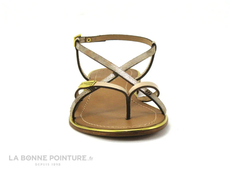 Tropeziennes MONACO Or Serpent - Plagette Tong 2 Tropeziennes MONACO Or Serpent - Plagette Tong â Image 2