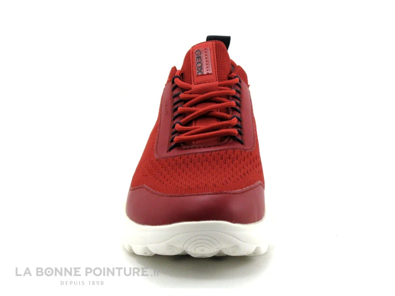 Geox SPHERICA - U35BYA Red - Basket Homme Rouge Bordeaux 2 Geox SPHERICA - U35BYA Red - Basket Homme Rouge Bordeaux â Image 2