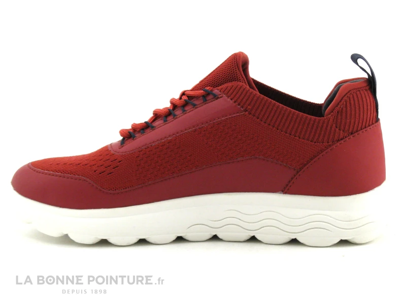 Geox SPHERICA - U35BYA Red - Basket Homme Rouge Bordeaux 3 Geox SPHERICA - U35BYA Red - Basket Homme Rouge Bordeaux â Image 3
