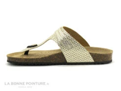 Geox D35LSK - BRIONIA Metal Lt Gold - Tong Femme Reglable Or -Optimal Chaussures Magasin cd24607c73b9e66c561f35ea11d5d5ef img 7321.jpg 180617