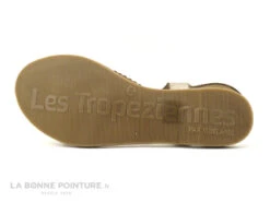 Tropeziennes HANANO Or Multi 19040 - Sandale Plagette 11 Tropeziennes HANANO Or Multi 19040 - Sandale Plagette -Optimal Chaussures Magasin cd24607c73b9e66c561f35ea11d5d5ef img 9470.jpg 159240